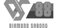 Papara logo