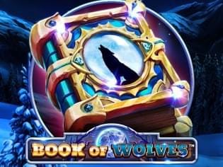 Book Of Wolves game thumbnail